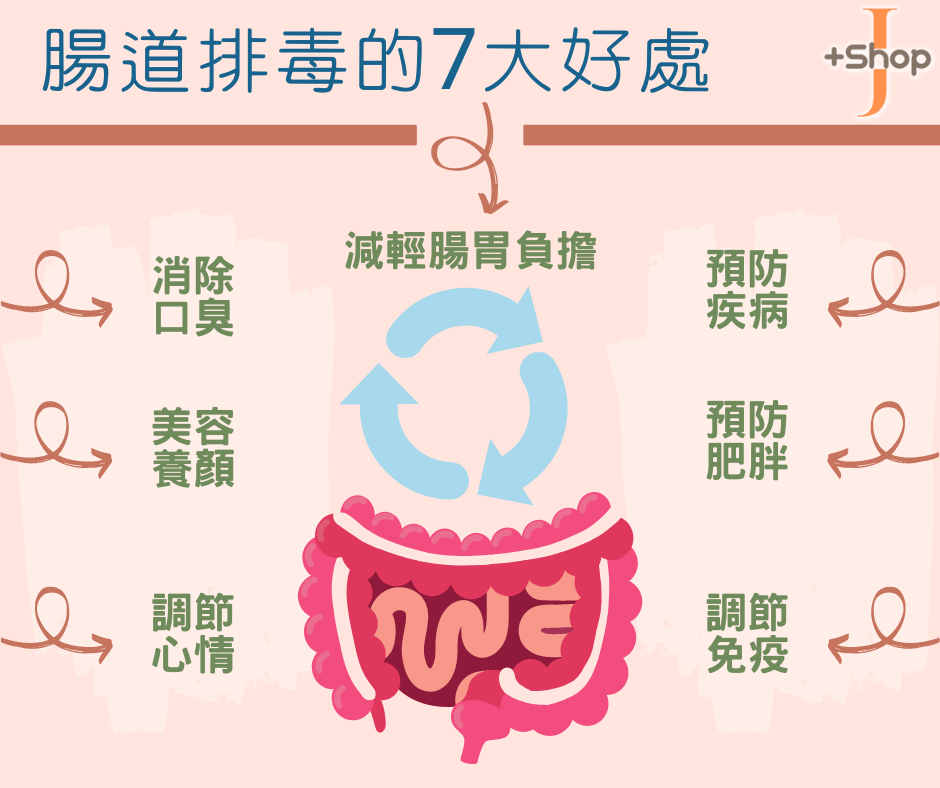 ♻️排毒先從腸道下手 │ 🚽腸道排毒的7️⃣大好處