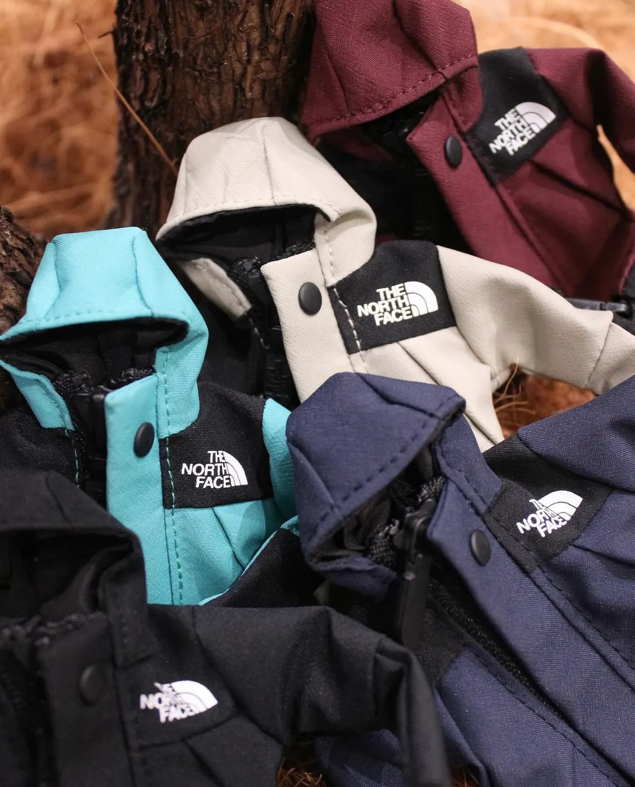 プレゼントにも【THE NORTH FACE】Mini Mountain Jacket プレゼントにも【THE NORTH FACE】Mini Mountain Jacket (THE