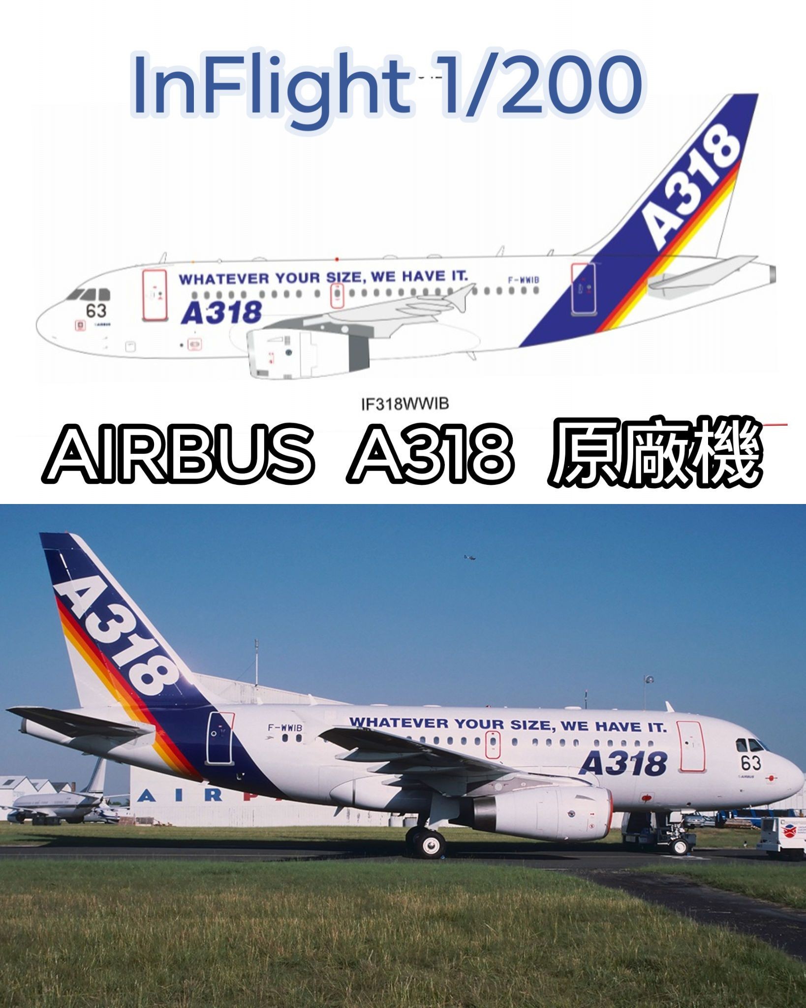 InFlight 1/200 Airbus Airbus A318-122 F-WWIB with stand - 收藏家