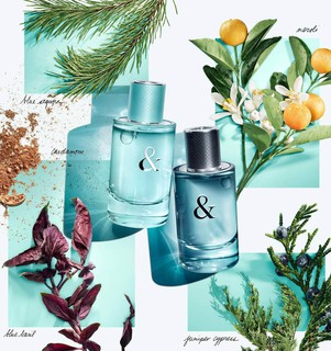 Tiffany & Co. Love FOR HIM香水 90ml Tiffany and Co. Love EDT Spray Men 1.6 oz : Amazon.ca