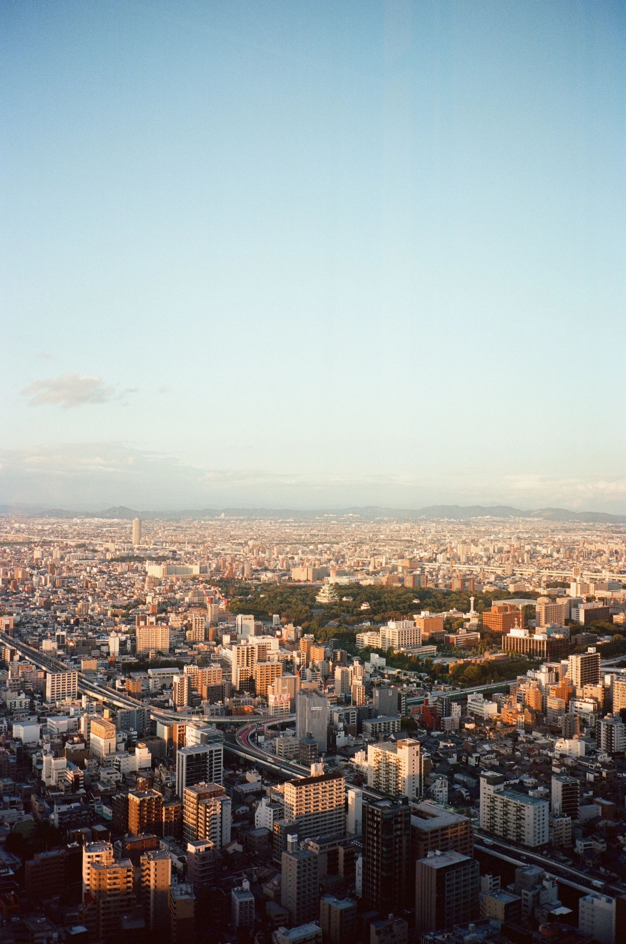 0131-07.jpg