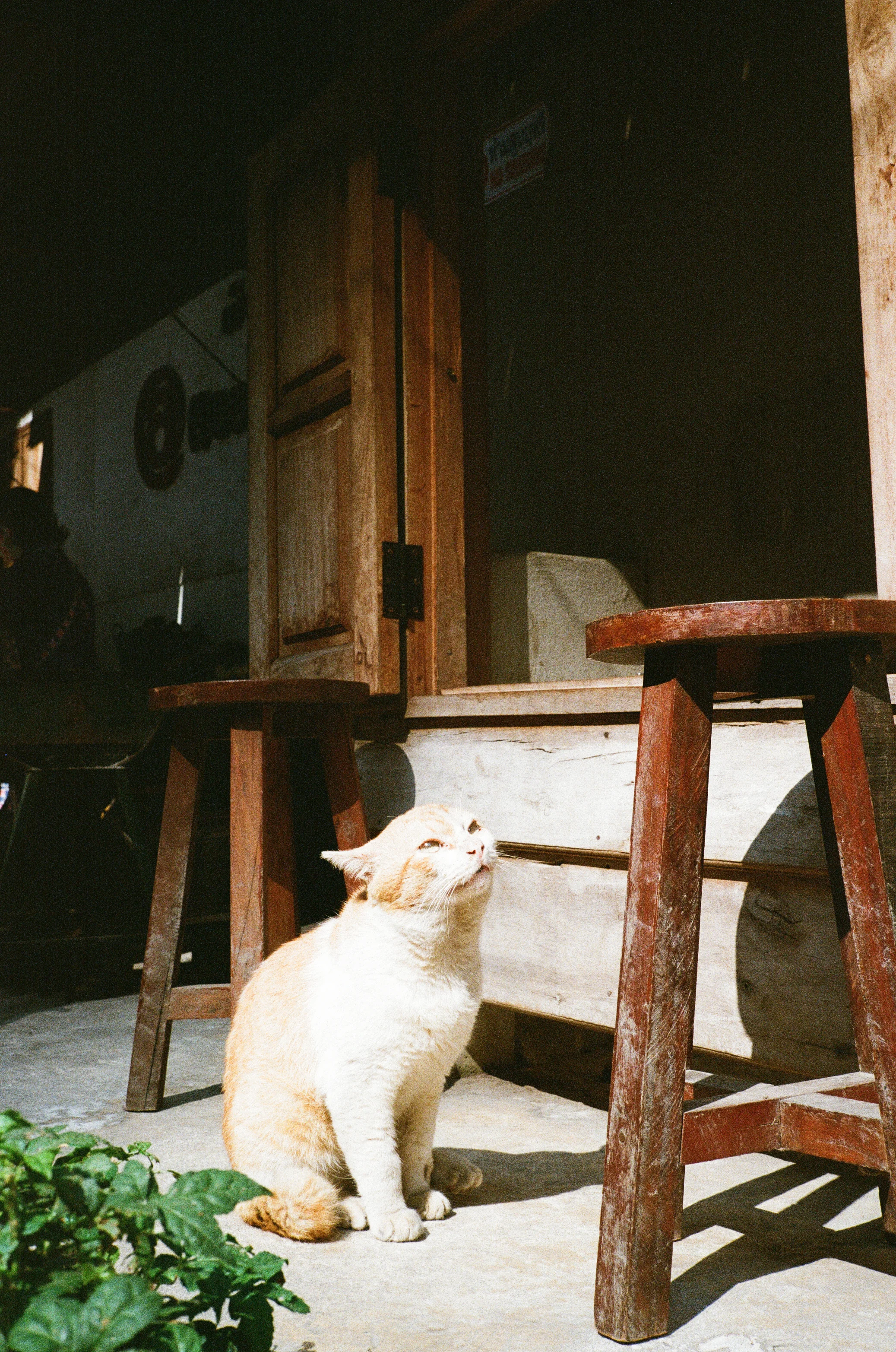 0983-32.jpg
