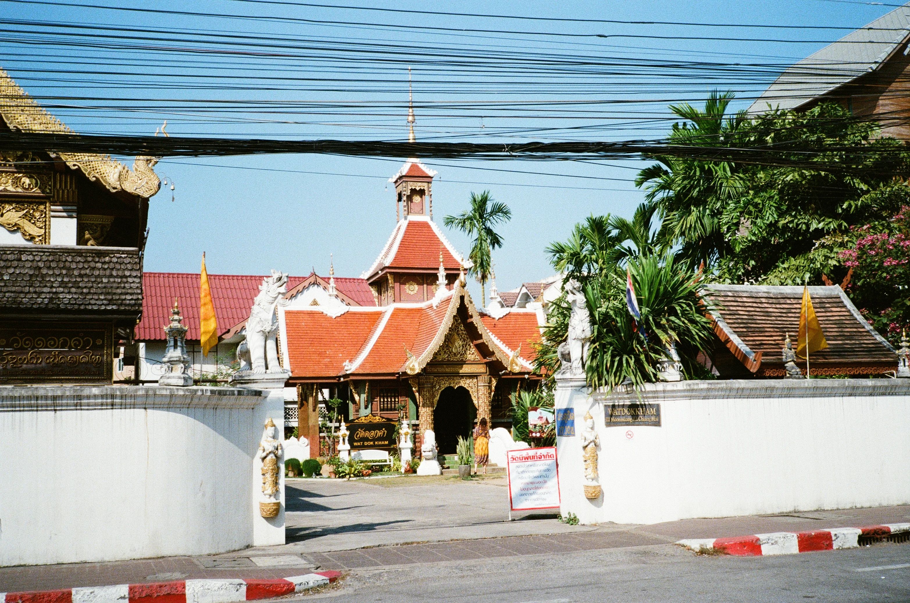 0983-21.jpg