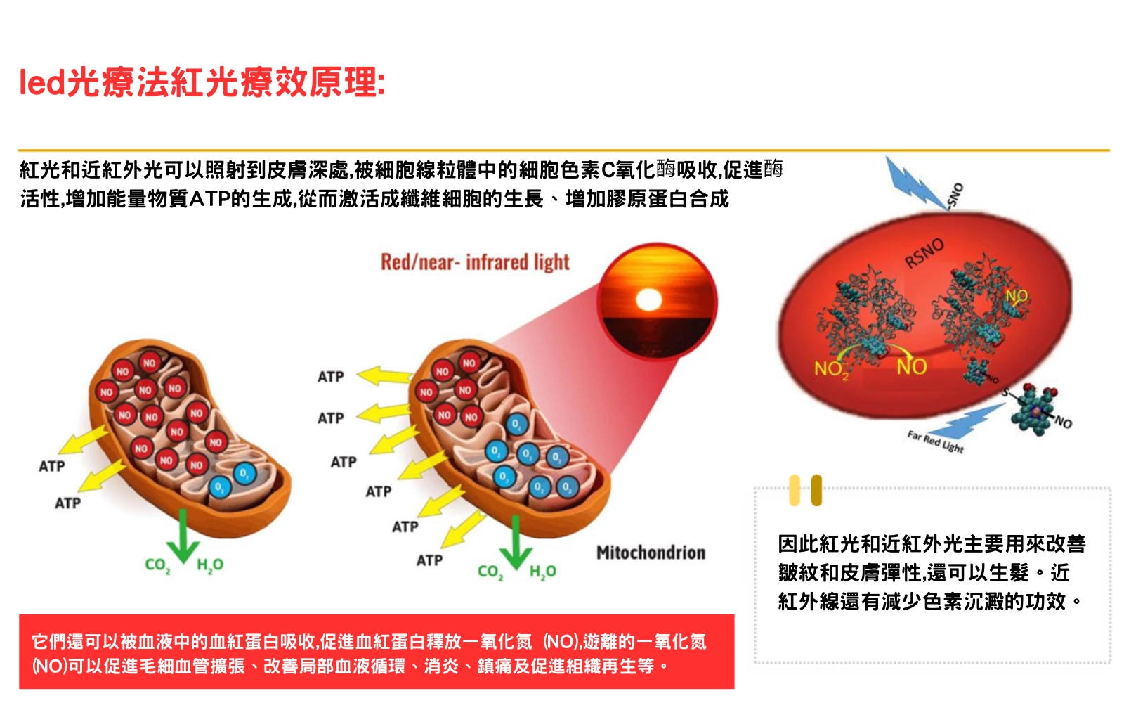 Redlight therapy_04.png