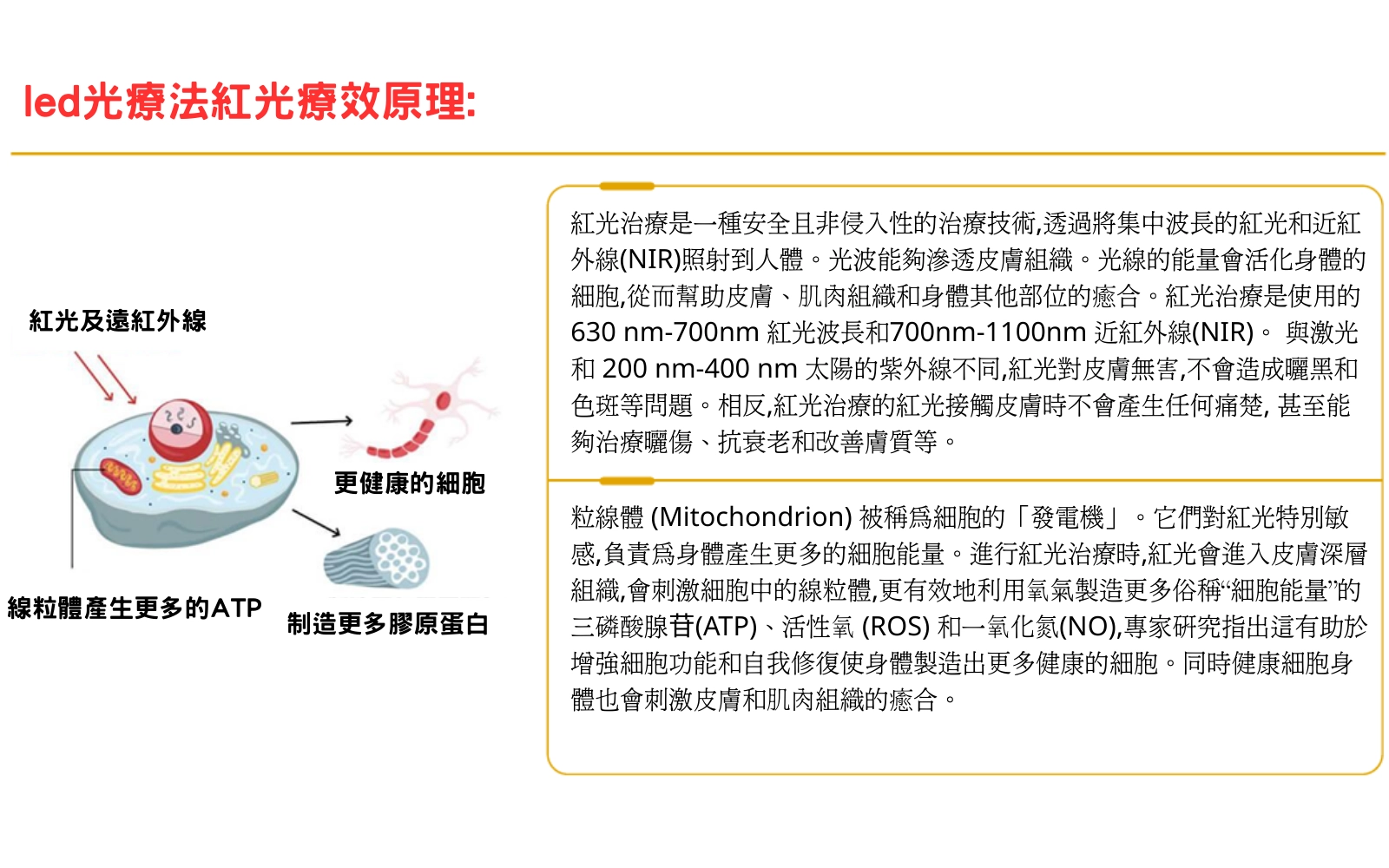 Redlight therapy_03.png