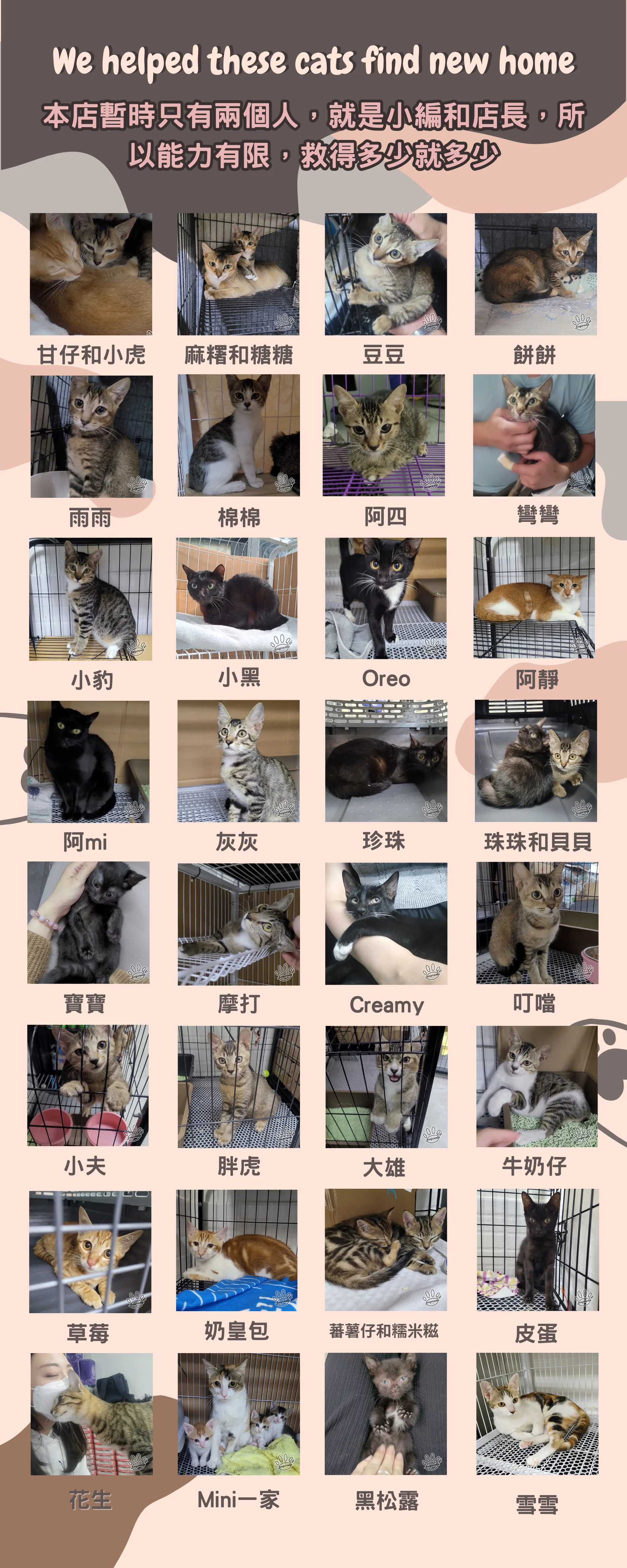 607283040883_54394653176920103300.webp