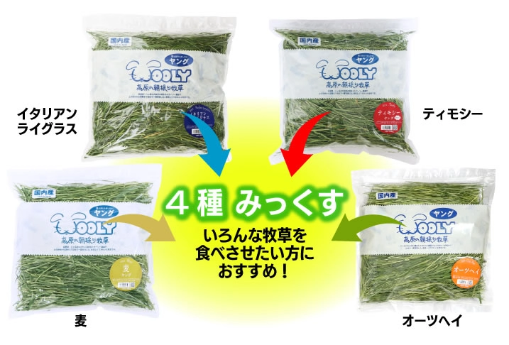 Wooly 高原混合牧草(四草混合) - 400g - LittleLand