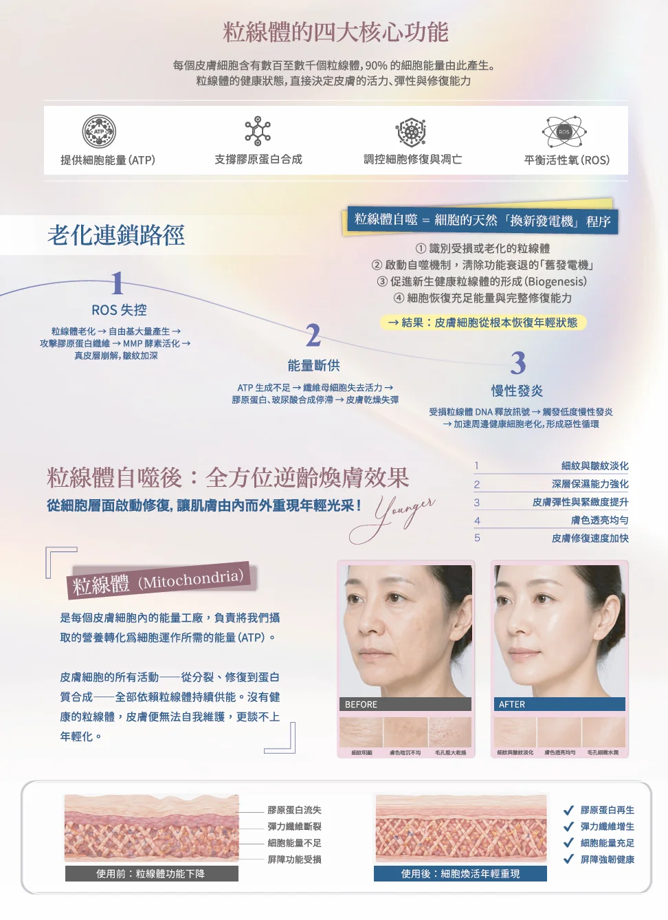 54600ac6b2eaa3026e2ef15b3677f614.png