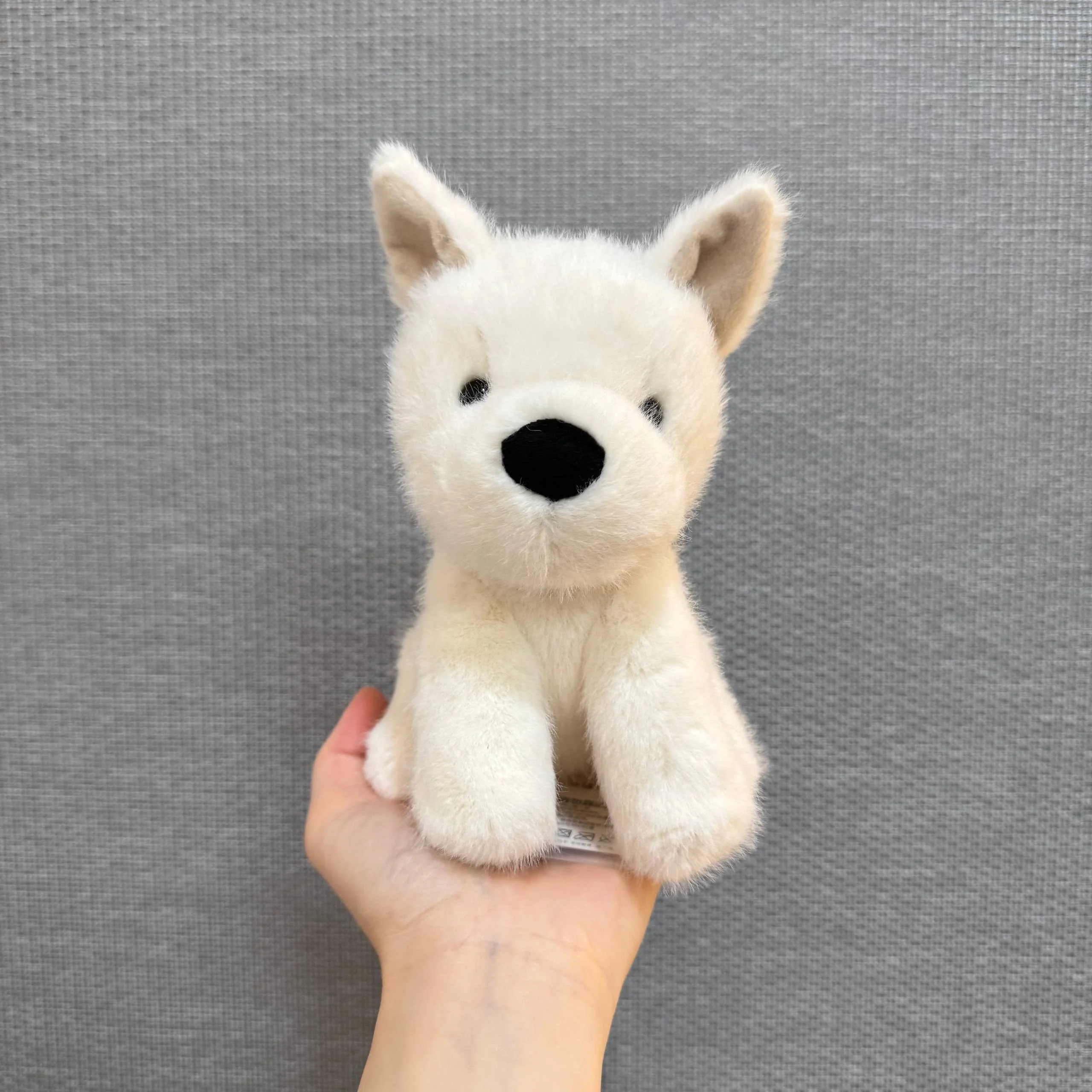 Jellycat - Munro Scottie Dog Junior 西高地BB🐶 - newvibeshk