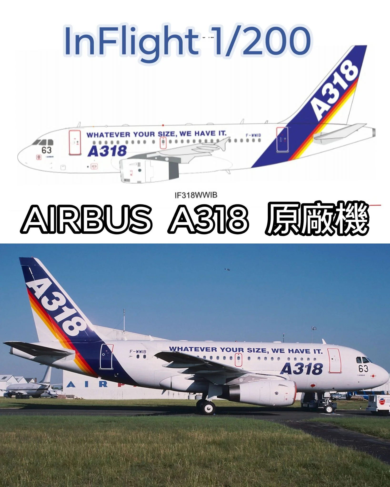 InFlight 1/200 Airbus Airbus A318-122 F-WWIB with stand - 收藏家