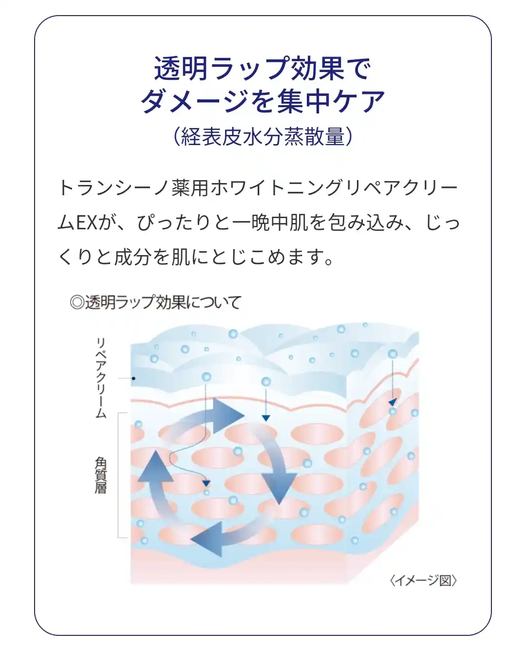 TRANSINO 美白修復クリームEX & エッセンス 3点セット 日本第一三共TRANSINO 美白修復霜EX Whitening Repair Cream EX